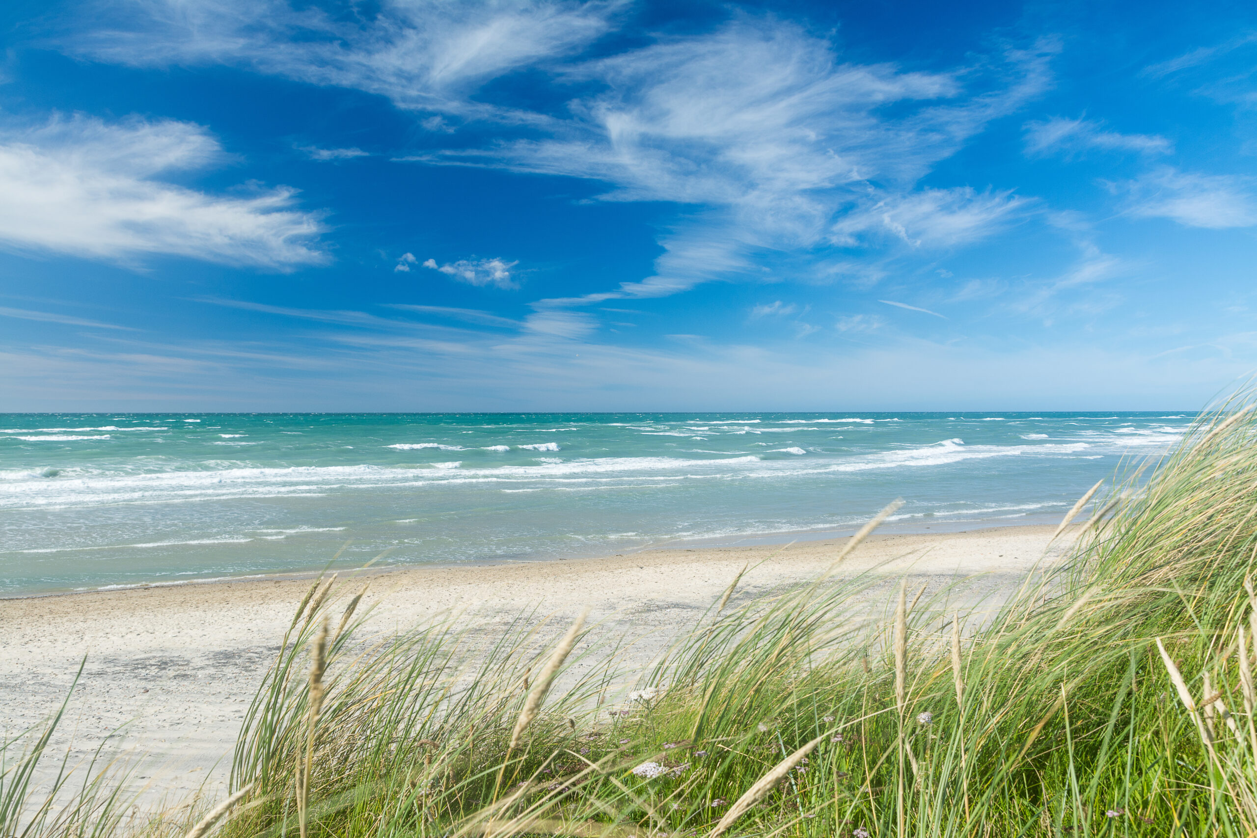 Nordsee und blauer Himmel mit Dünengras